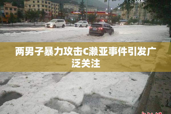 两男子暴力攻击C濑亚事件引发广泛关注
