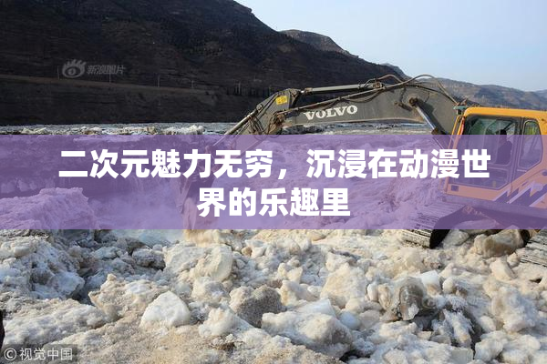 二次元魅力无穷，沉浸在动漫世界的乐趣里