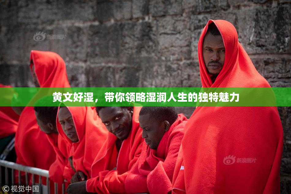黄文好湿，带你领略湿润人生的独特魅力
