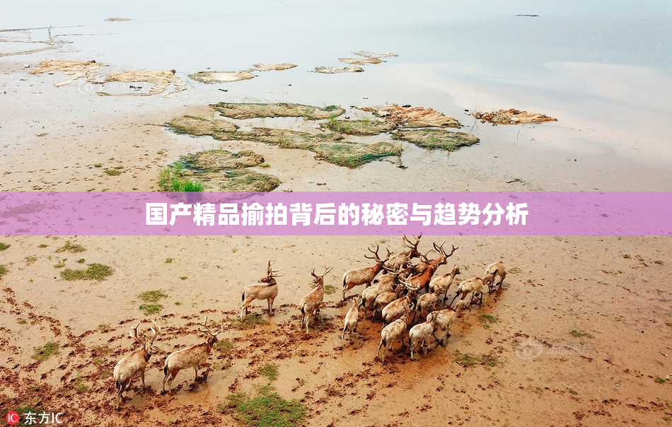 国产精品揄拍背后的秘密与趋势分析