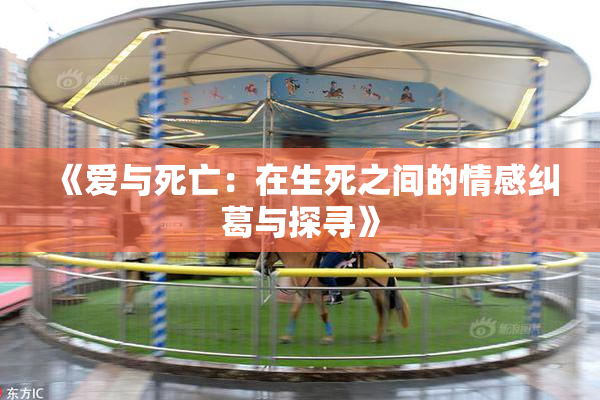 《爱与死亡：在生死之间的情感纠葛与探寻》
