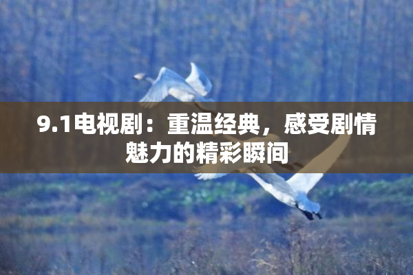 9.1电视剧：重温经典，感受剧情魅力的精彩瞬间