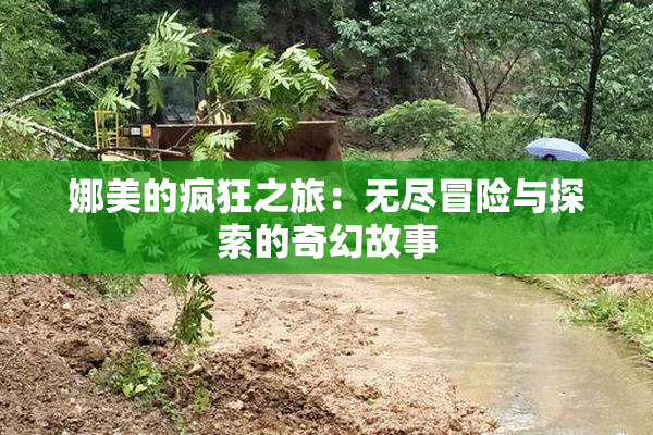 娜美的疯狂之旅：无尽冒险与探索的奇幻故事