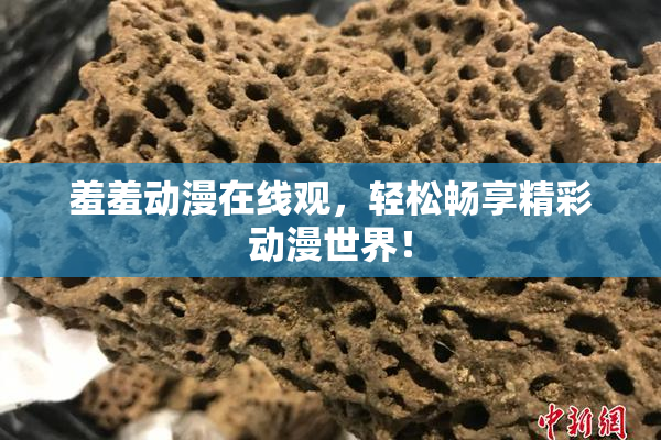 羞羞动漫在线观，轻松畅享精彩动漫世界！