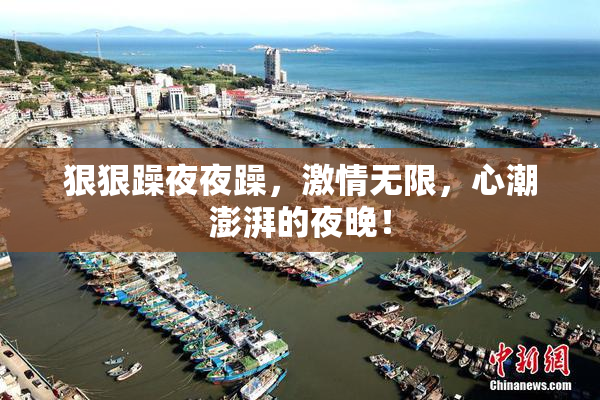 狠狠躁夜夜躁，激情无限，心潮澎湃的夜晚！