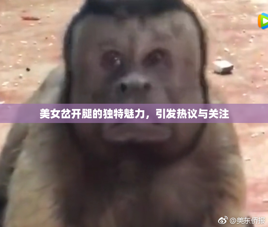 美女岔开腿的独特魅力，引发热议与关注