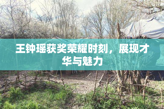 王钟瑶获奖荣耀时刻，展现才华与魅力