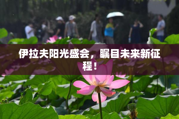 伊拉夫阳光盛会，瞩目未来新征程！