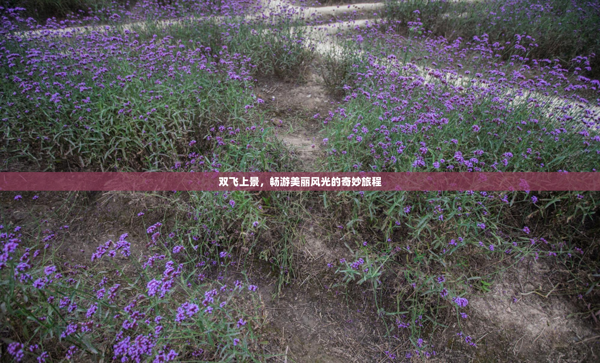 双飞上景，畅游美丽风光的奇妙旅程