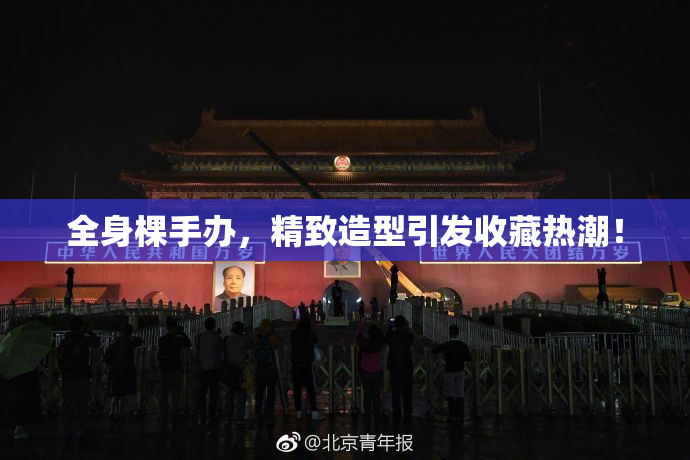 全身棵手办，精致造型引发收藏热潮！