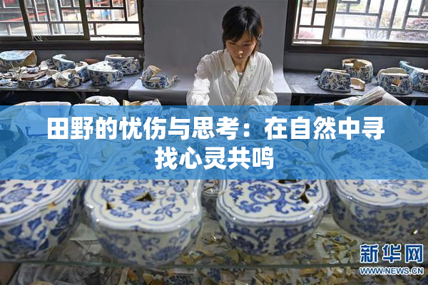 田野的忧伤与思考：在自然中寻找心灵共鸣