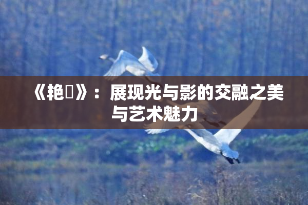 《艳鉧》：展现光与影的交融之美与艺术魅力