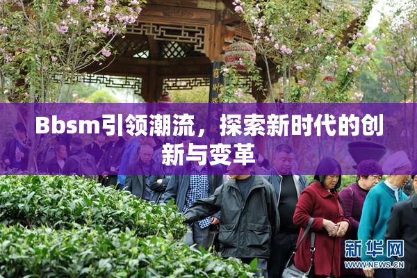 Bbsm引领潮流，探索新时代的创新与变革