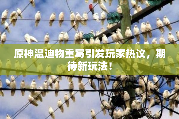 原神温迪物重写引发玩家热议，期待新玩法！