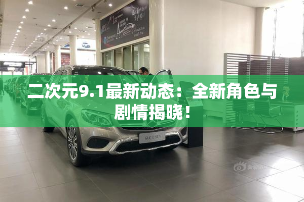 二次元9.1最新动态：全新角色与剧情揭晓！