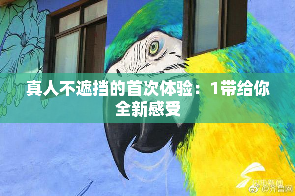 真人不遮挡的首次体验：1带给你全新感受