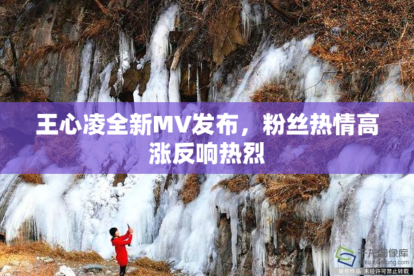 王心凌全新MV发布，粉丝热情高涨反响热烈