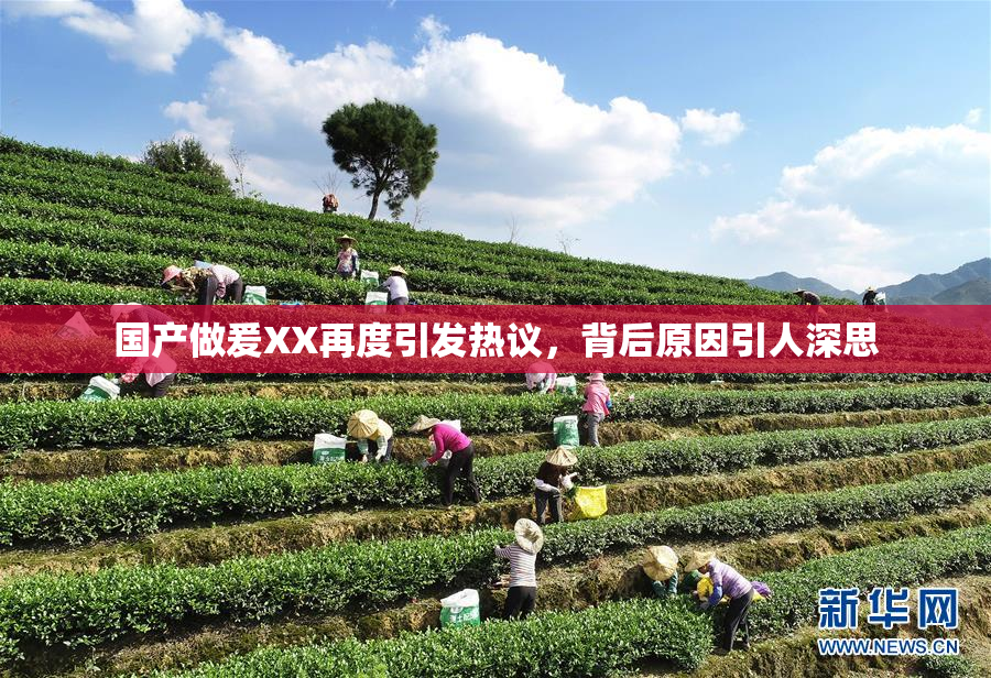 国产做爰XX再度引发热议，背后原因引人深思