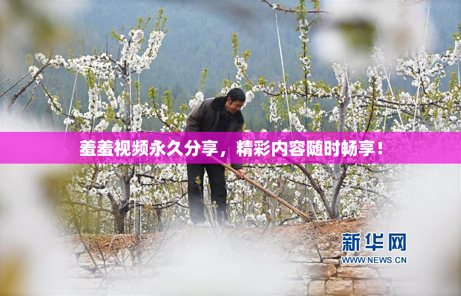 羞羞视频永久分享，精彩内容随时畅享！