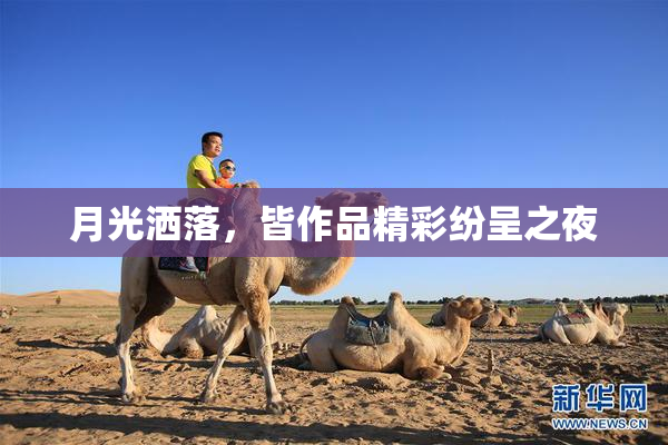 月光洒落，皆作品精彩纷呈之夜