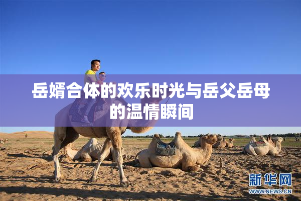 岳婿合体的欢乐时光与岳父岳母的温情瞬间