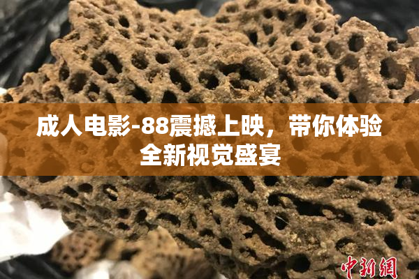 成人电影-88震撼上映，带你体验全新视觉盛宴