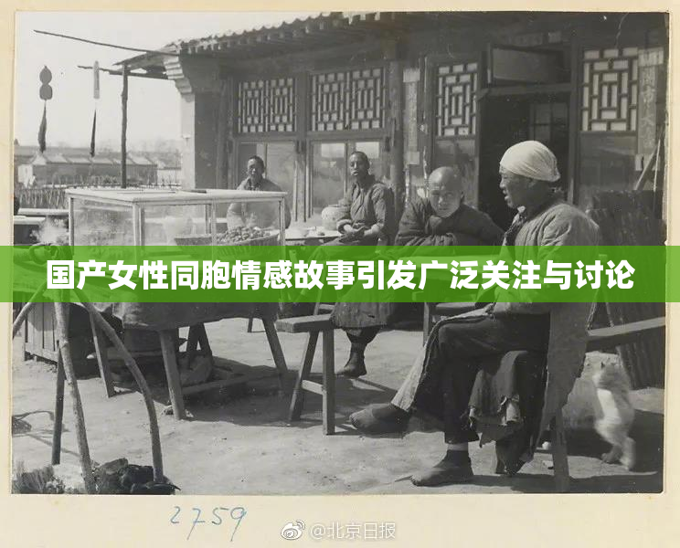 国产女性同胞情感故事引发广泛关注与讨论