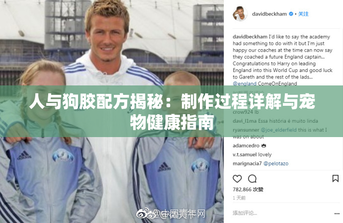 人与狗胶配方揭秘：制作过程详解与宠物健康指南