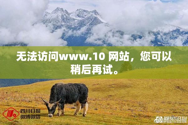 无法访问www.10 网站，您可以稍后再试。