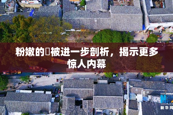 粉嫩的泬被进一步剖析，揭示更多惊人内幕
