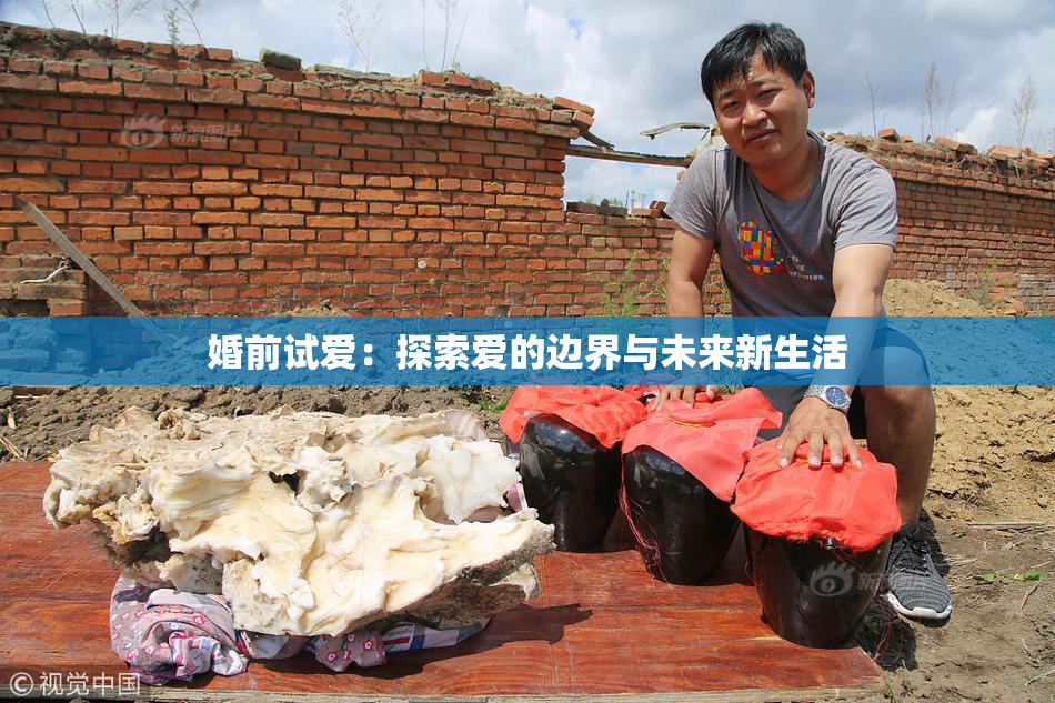 婚前试爱：探索爱的边界与未来新生活