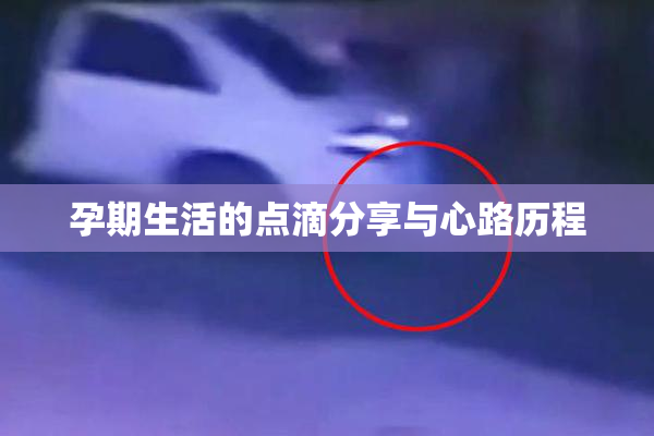 孕期生活的点滴分享与心路历程