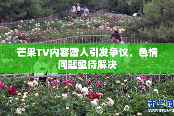 芒果TV内容雷人引发争议，色情问题亟待解决