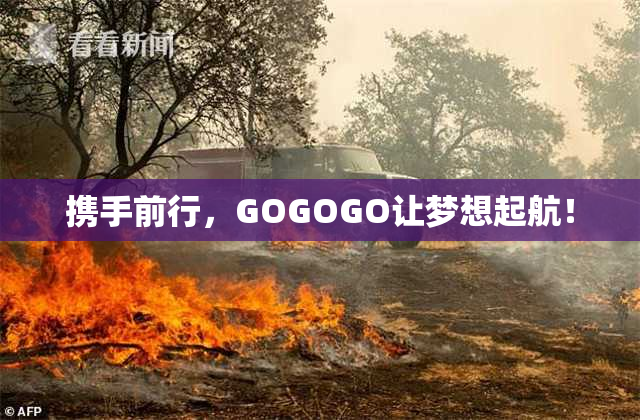 携手前行，GOGOGO让梦想起航！
