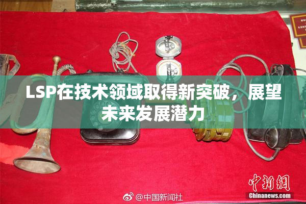 LSP在技术领域取得新突破，展望未来发展潜力
