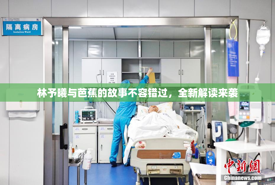 林予曦与芭蕉的故事不容错过，全新解读来袭