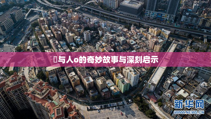 嘼与人o的奇妙故事与深刻启示