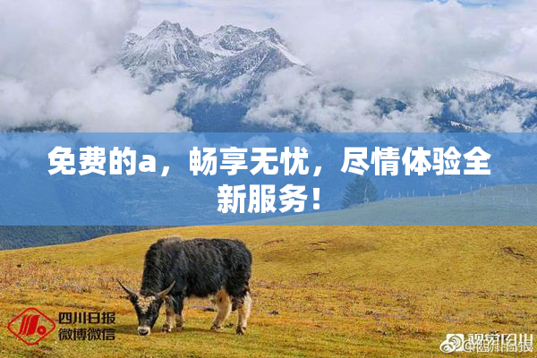 免费的a，畅享无忧，尽情体验全新服务！