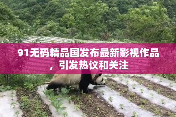 91无码精品国发布最新影视作品，引发热议和关注