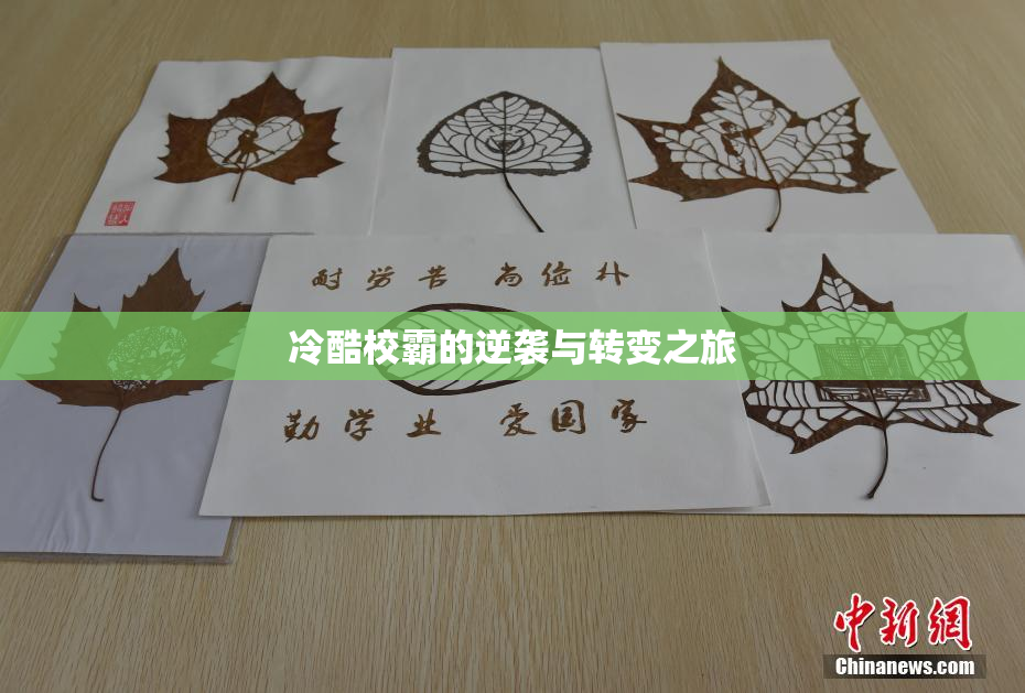 冷酷校霸的逆袭与转变之旅