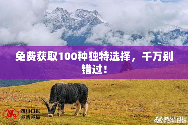 免费获取100种独特选择，千万别错过！