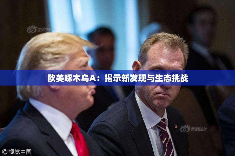 欧美啄木乌A：揭示新发现与生态挑战