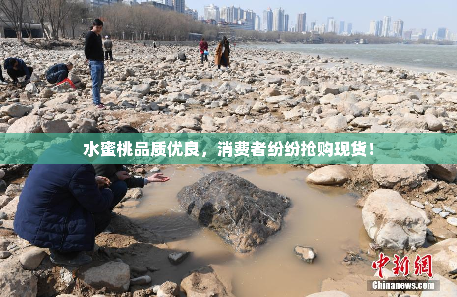 水蜜桃品质优良，消费者纷纷抢购现货！