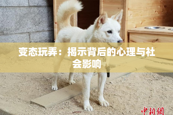 变态玩弄：揭示背后的心理与社会影响
