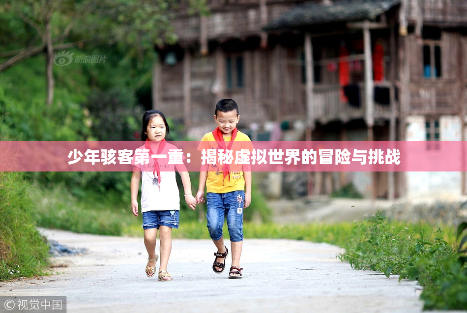 少年骇客第一重：揭秘虚拟世界的冒险与挑战