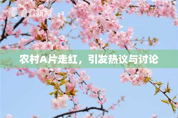 农村A片走红，引发热议与讨论