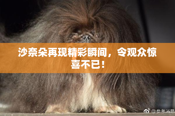 沙奈朵再现精彩瞬间，令观众惊喜不已！