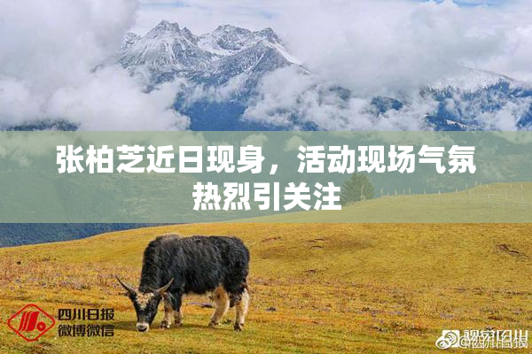 张柏芝近日现身，活动现场气氛热烈引关注