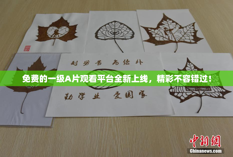 免费的一级A片观看平台全新上线，精彩不容错过！