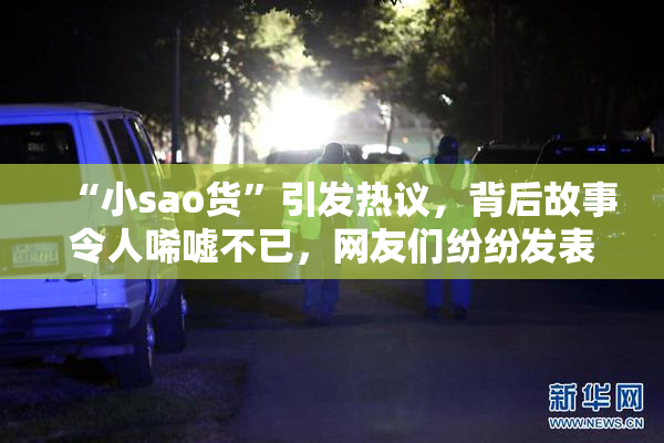 “小sao货”引发热议，背后故事令人唏嘘不已，网友们纷纷发表看法。
